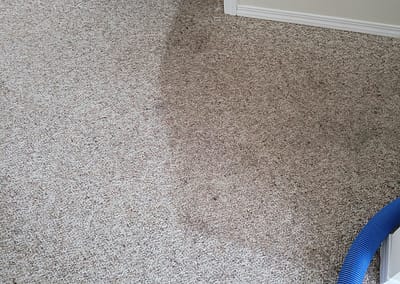 dirty carpet cleaning